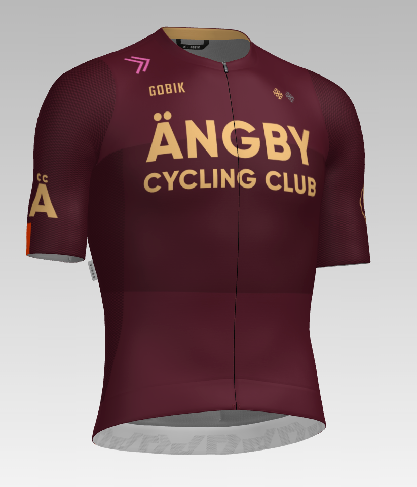 ÄCC Training Jersey / Men